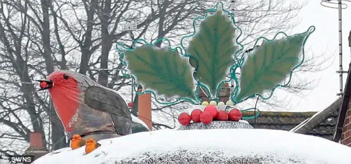 Robin and holly leaf detail