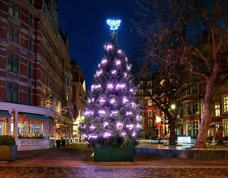 tracey emin connaught tree at night