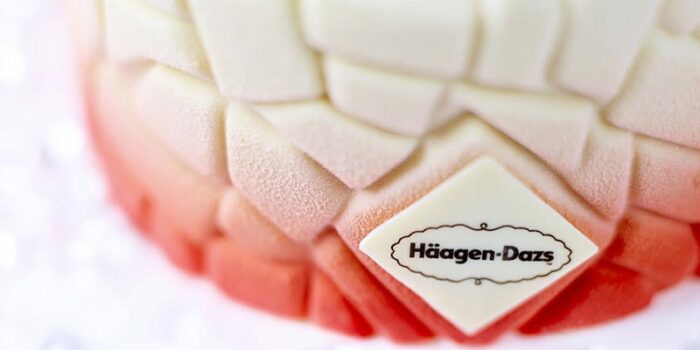 haagen-dazs-holiday-cake-detail