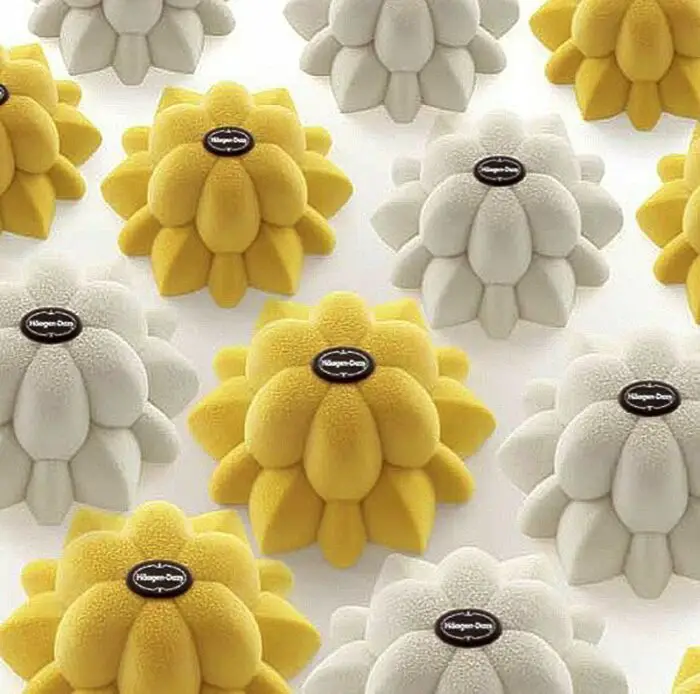 the flower cake for haagen dazs