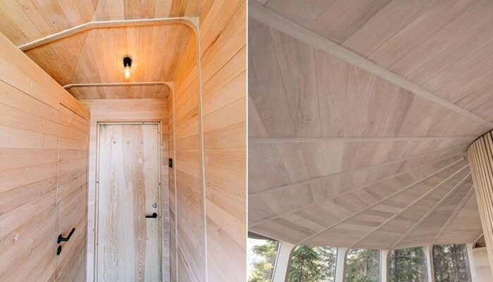 wood clad interior