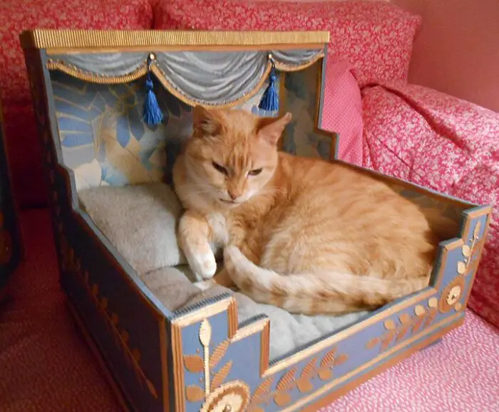 handmade cat bed