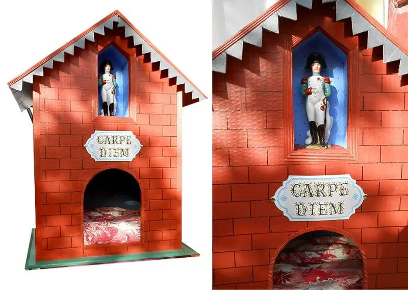 carpe diem cat house