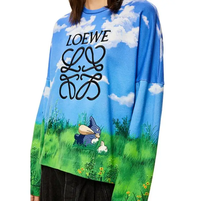 loewe totoro sweatshirt