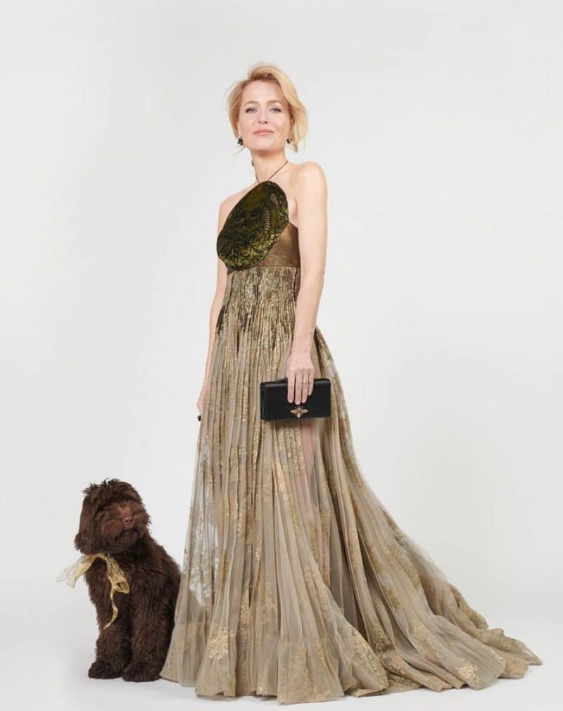 Gillian Anderson in Dior with her pup