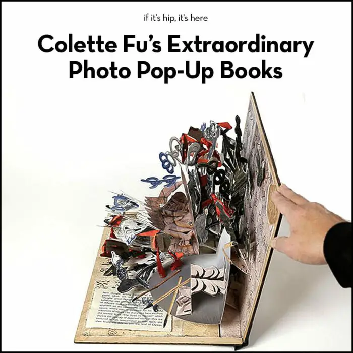 Read more about the article Photography + Paper Engineering = Colette Fu Pop-Up Photo Books