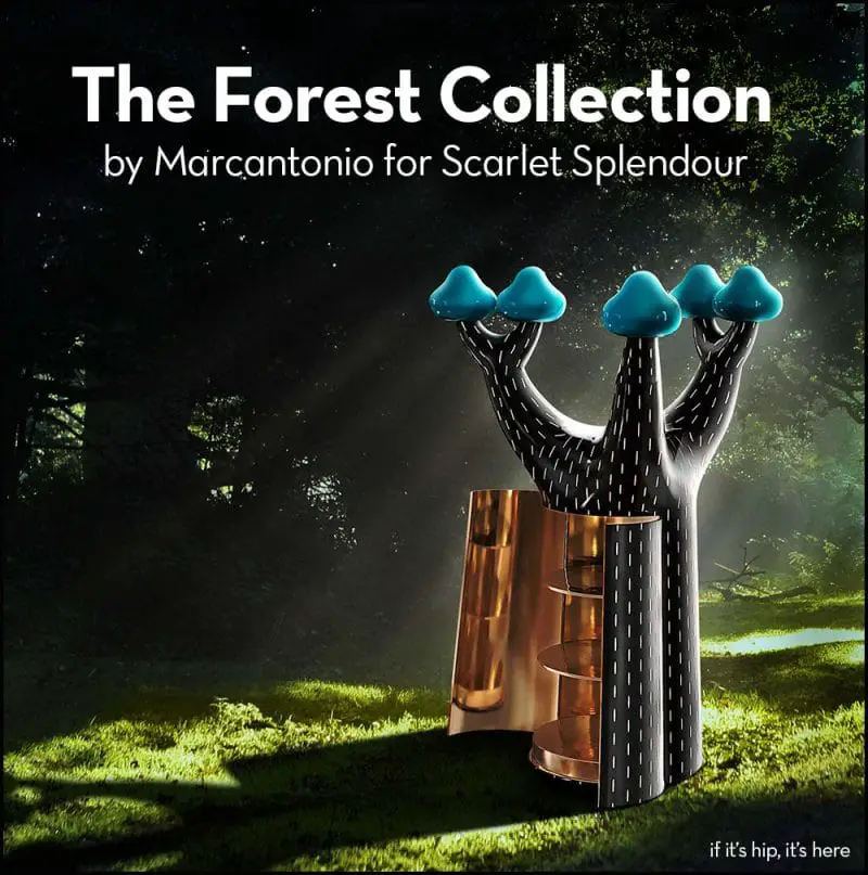 scarlet splendour forest collection