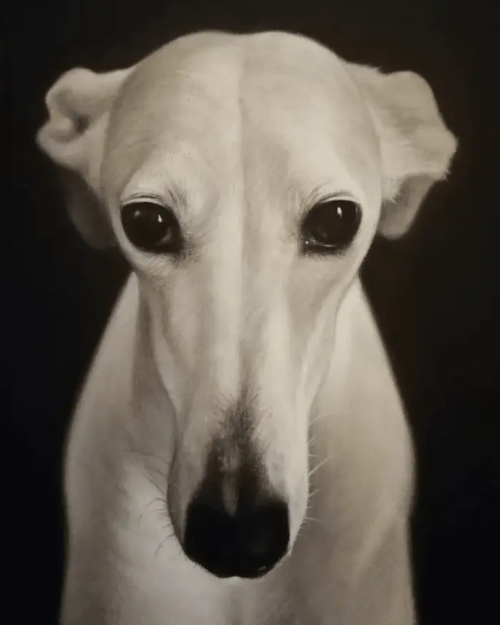 whippet painting