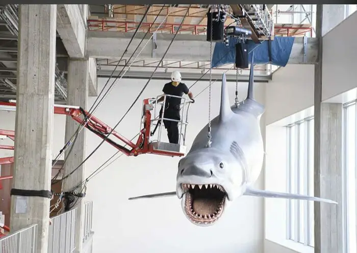JAWS Shark academy museum