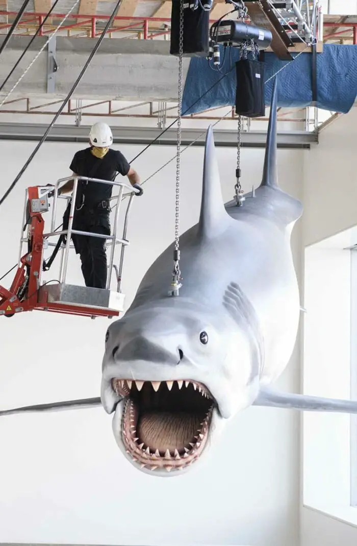 Bruce JAWS Shark restored
