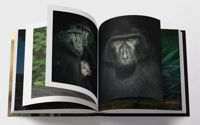 wildlife photography book