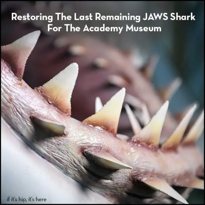 Read more about the article Restoring The Last Remaining JAWS Shark For The Academy Museum