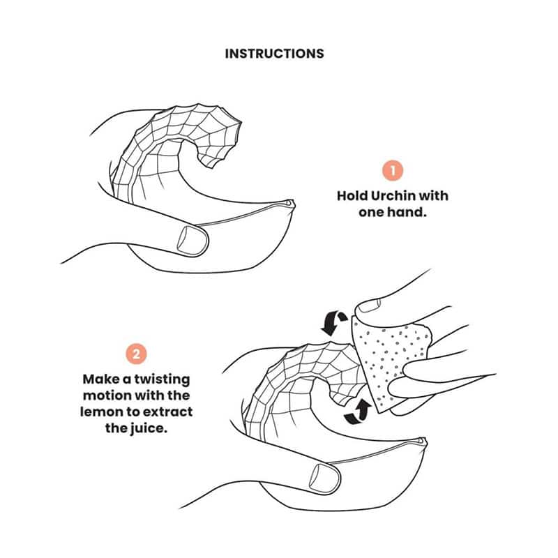 urchin juicer instructions