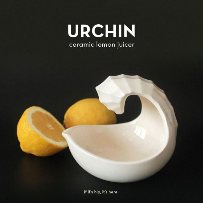 urchin lemon juicer