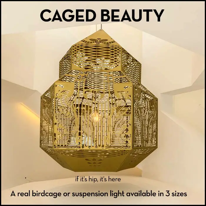 Read more about the article Caged Beauty : A Birdcage Or A Suspension Light.