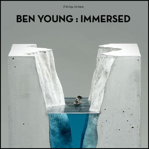 Read more about the article IMMERSED: Glass and Concrete Stories by Ben Young
