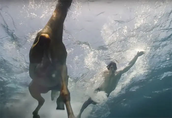 dam driver swimming with horse