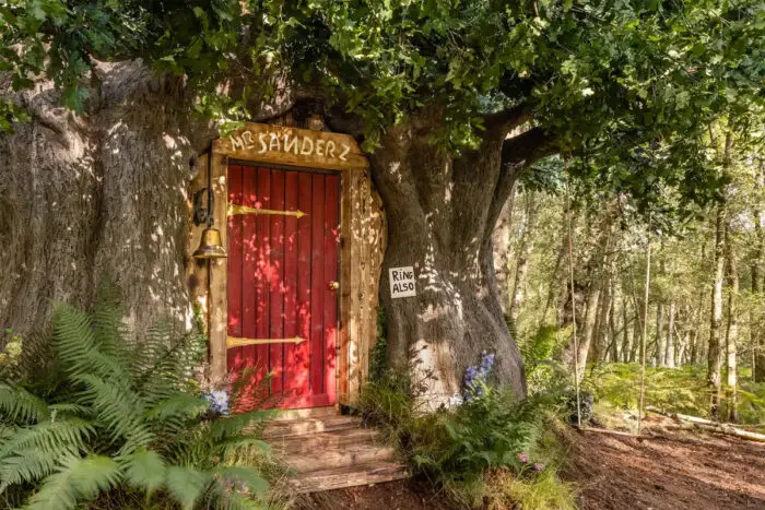 Pooh's house airbnb front door