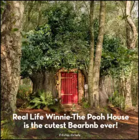 Tut tut! Someone Got To Stay At Pooh’s House and It Wasn’t Me!