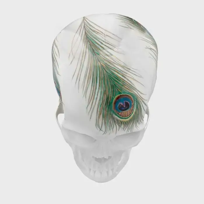peacock feather skull
