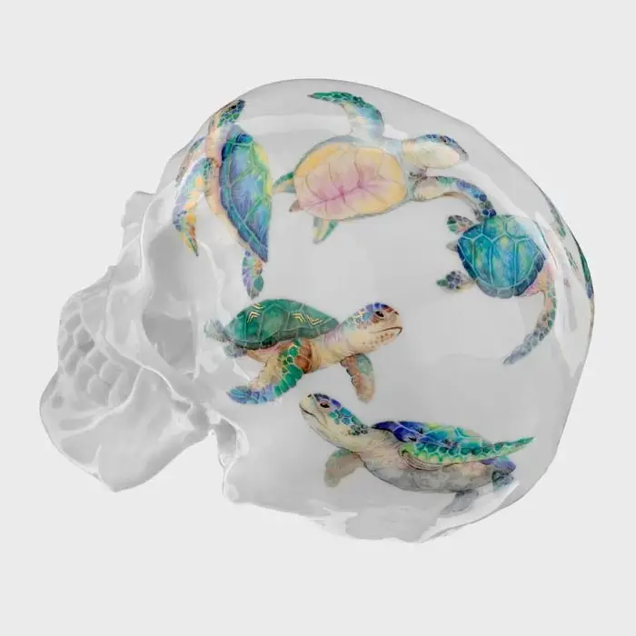 sea turtle painted skull