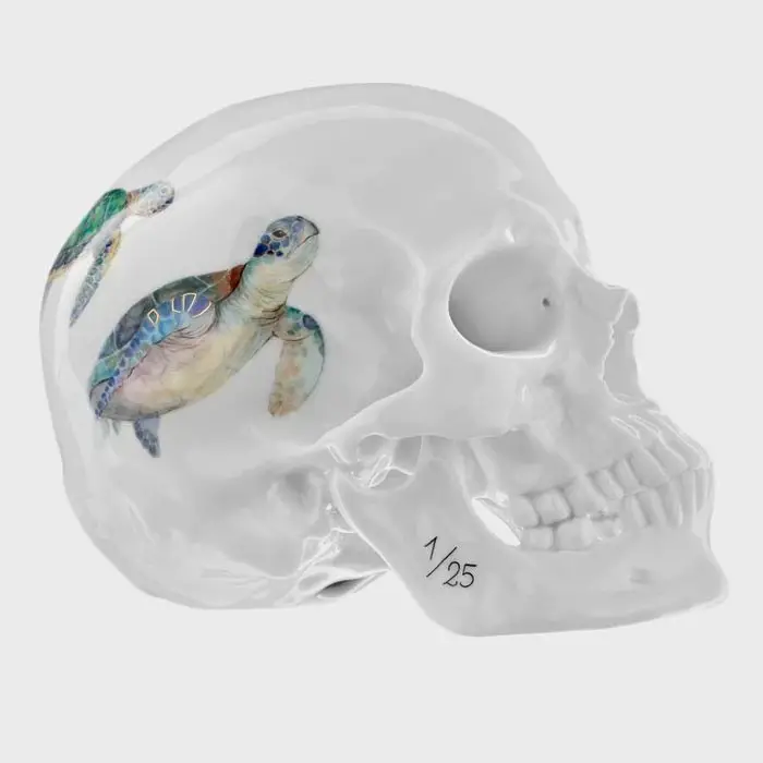 nymphenburg porcelain skull