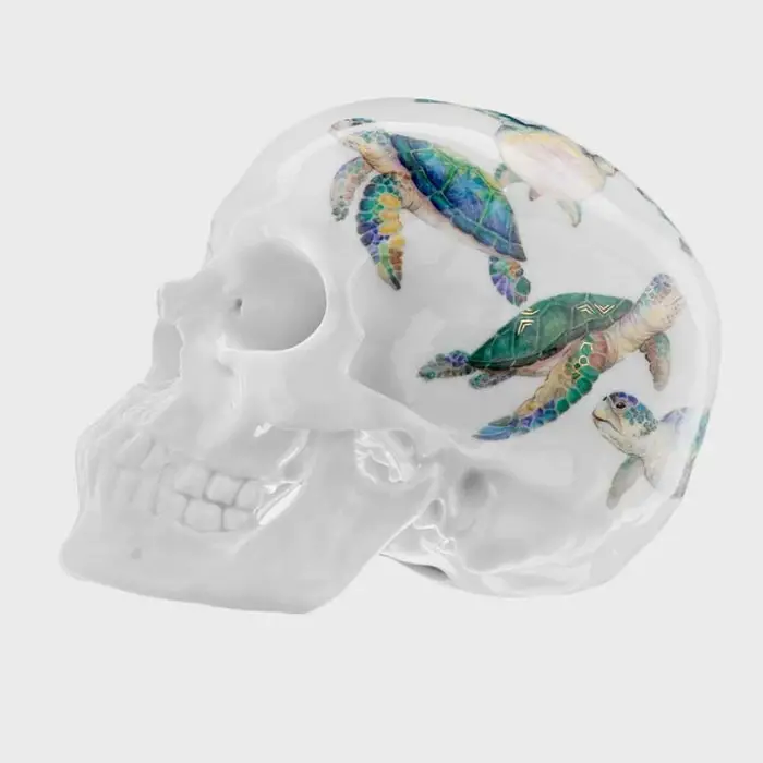 turtle skull porcelain