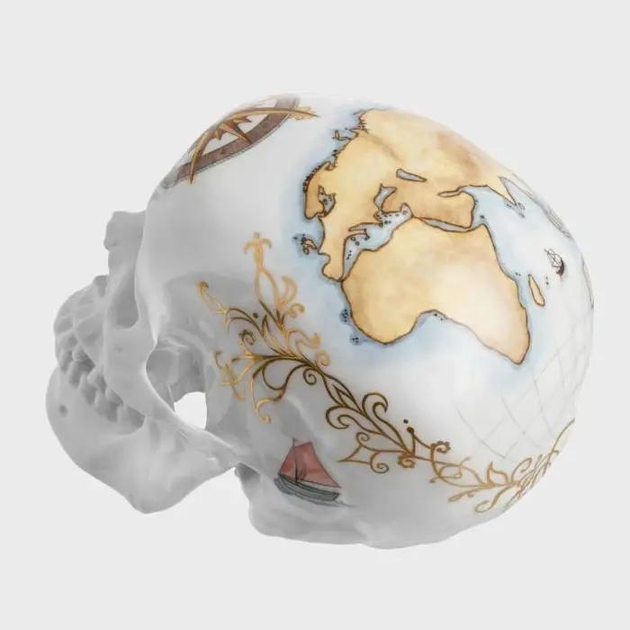voyage skull