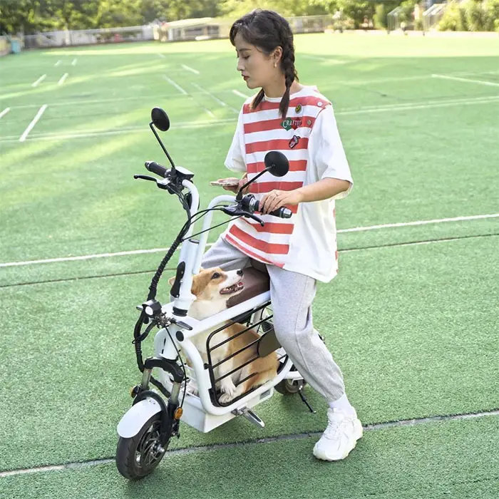 electric moped for people and pets