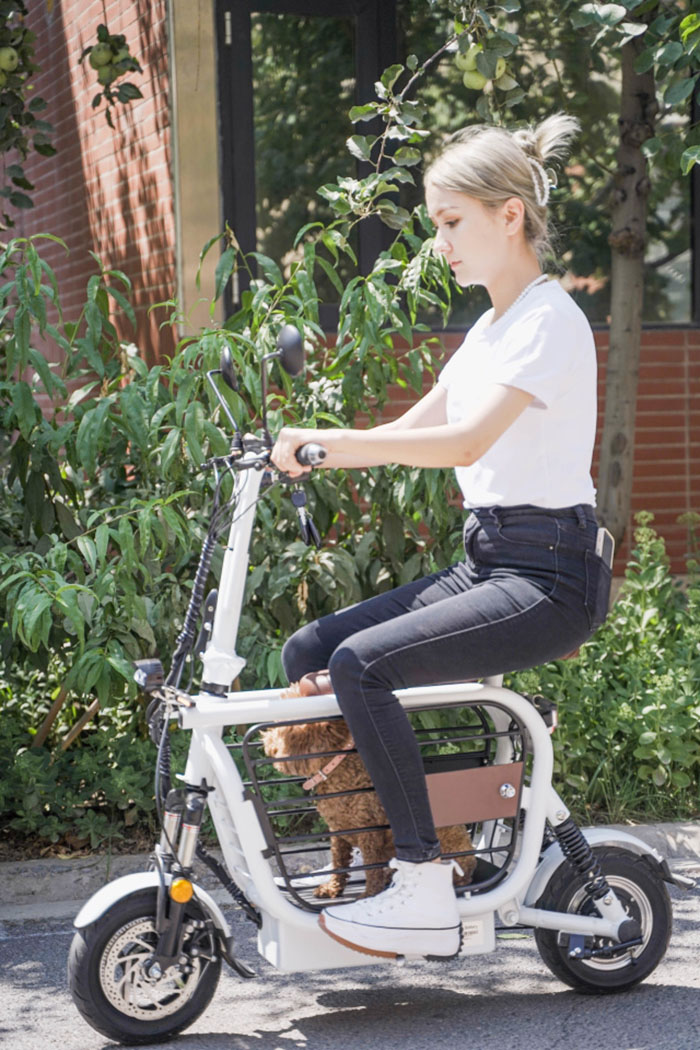 riding e-scooter with dog