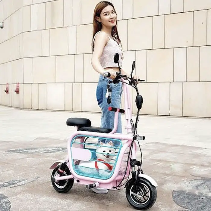mopet e-bike pet carrier