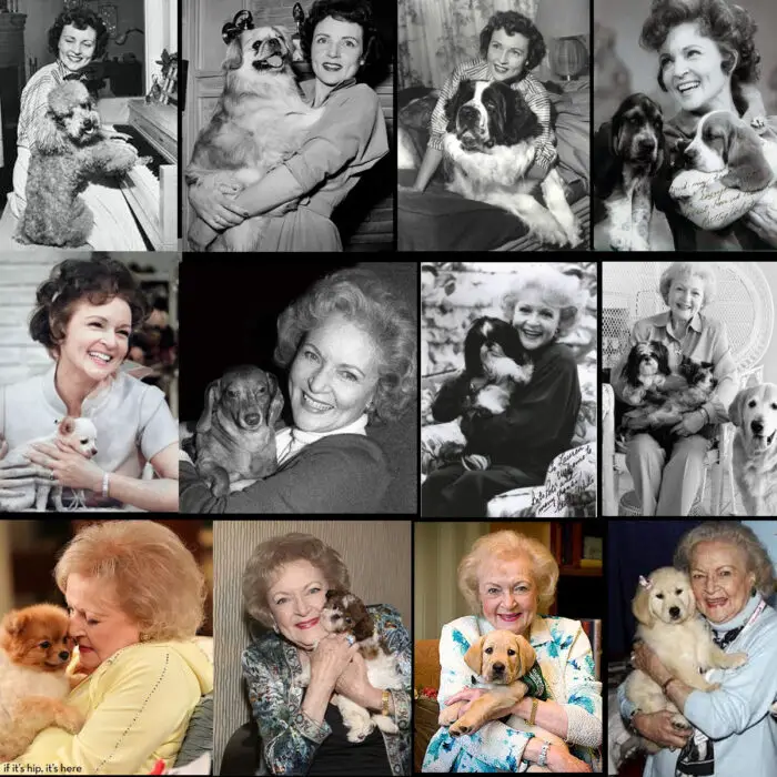 betty white and dogs through the years