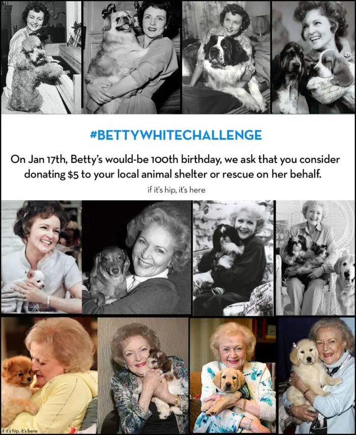 the betty white challenge