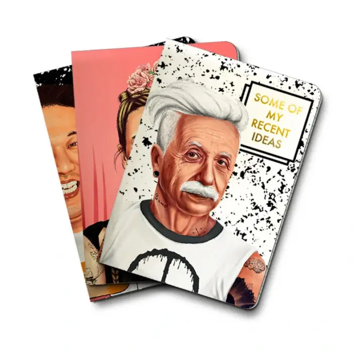 Examples of some of Hipstory's Notebooks