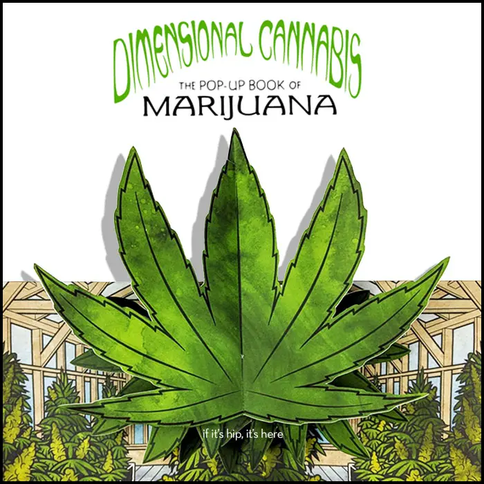 marijuana pop-up book hero IIHIH