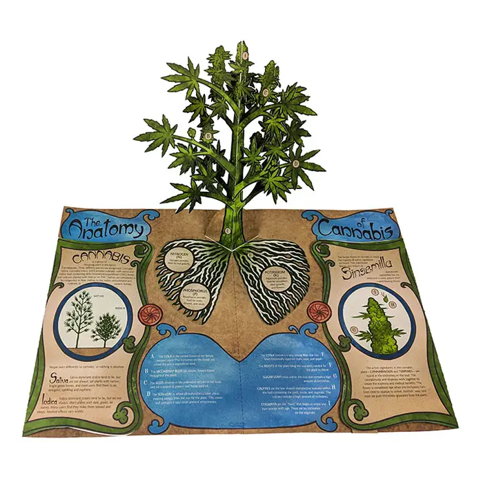 Anatomy of Cannabis designed by David A. Carter