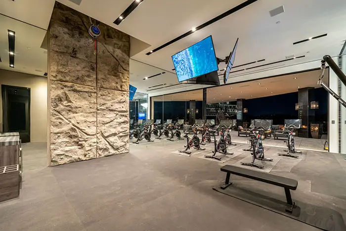 rock climbing wall home gym