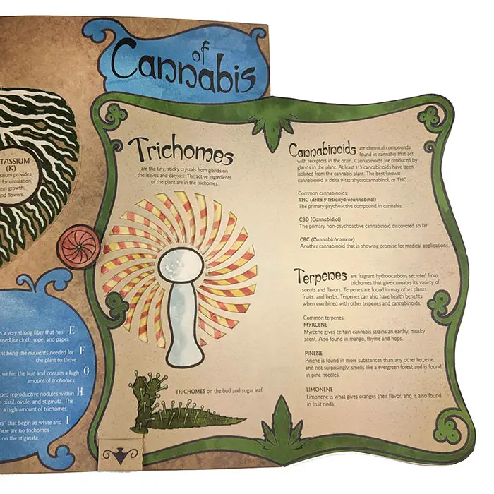anatomy Marijuana designed