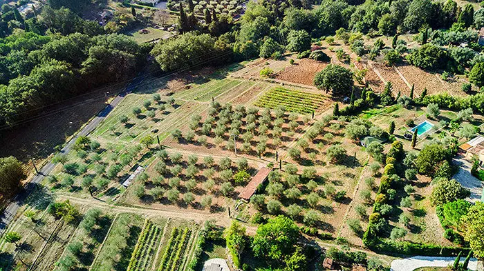 lancome's domaine de la rose