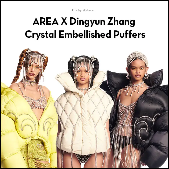 Read more about the article AREA X Dingyun Zhang Crystal Embellished Puffers