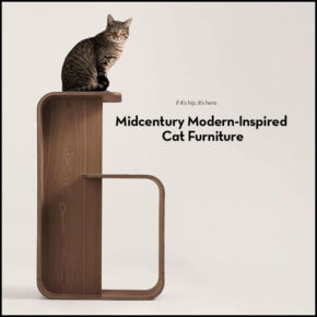 Midcentury Modern-Inspired Cat Furniture That’s Pricey But Purrrfect.