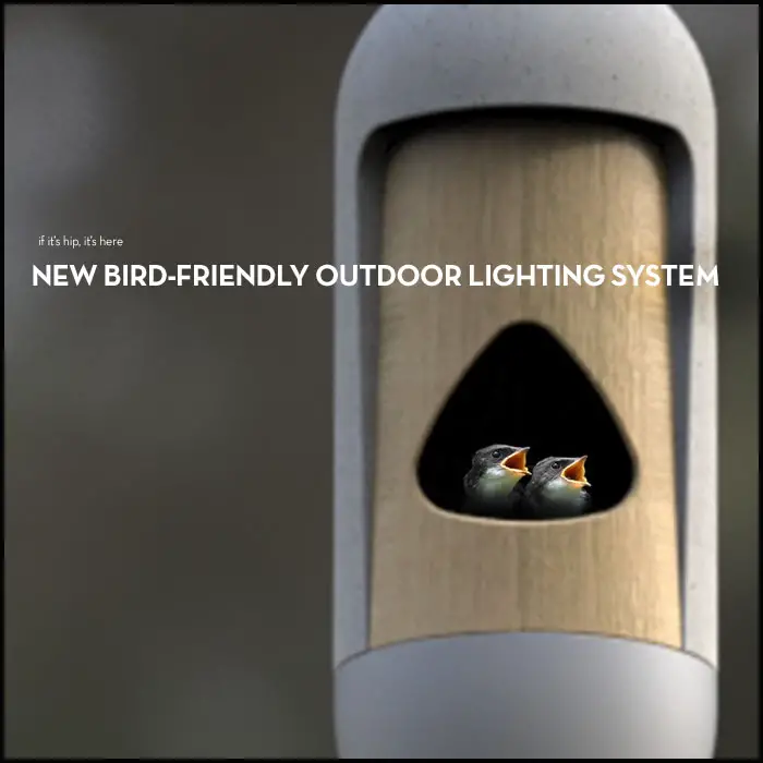 Needoo Bird-friendly outdoor lights