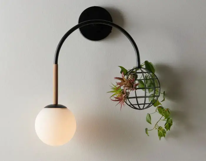 wall sconce with living plant
