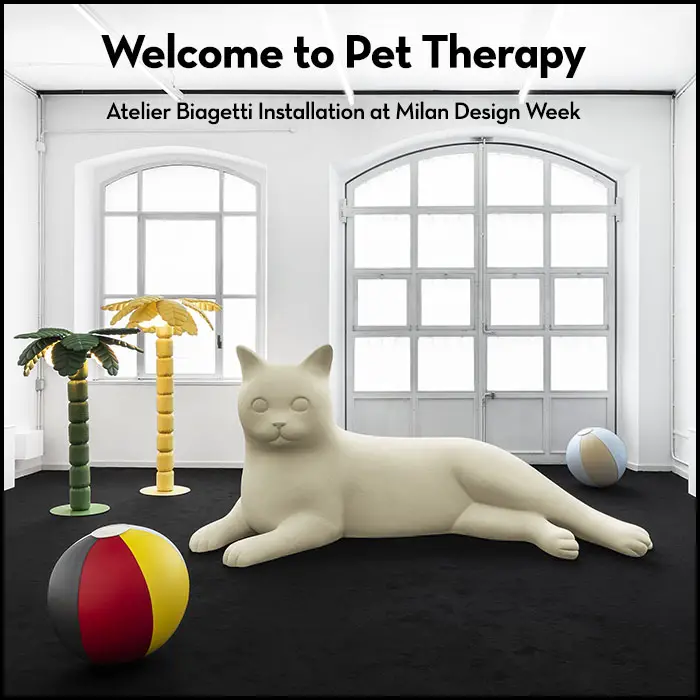 Read more about the article Giant Cats, Palm Tree Lights and Wellness Beach Balls! Welcome to Pet Therapy.