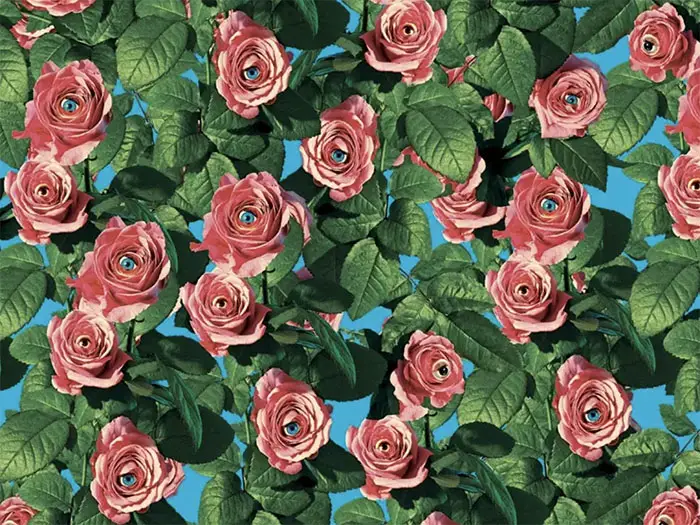 Eyes and Roses wallpaper available from Toiletpaper