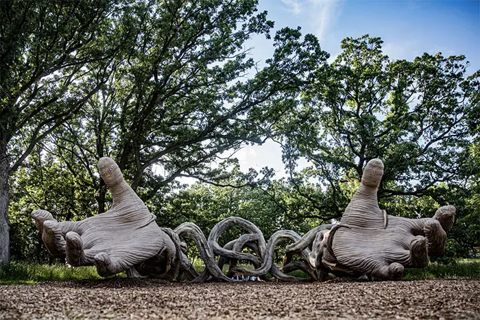 daniel popper at Morton Arboretum