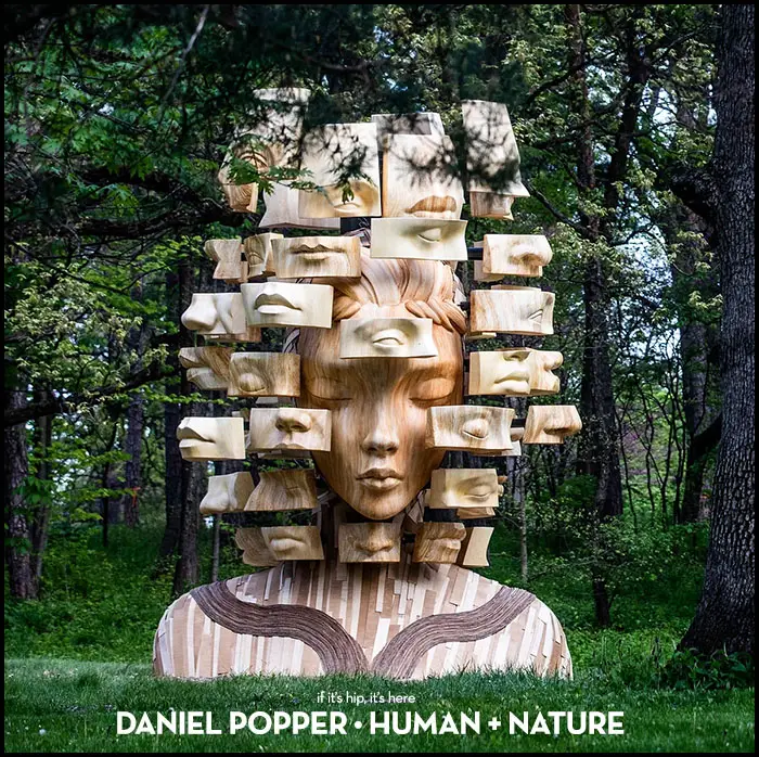 Read more about the article Daniel Popper Human + Nature Exhibition in Chicago’s Morton Arboretum