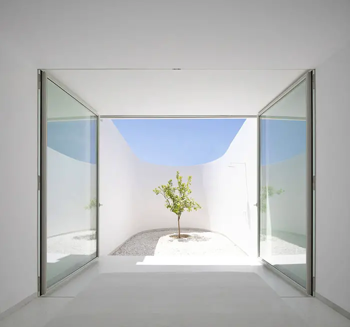 khi house lemon tree