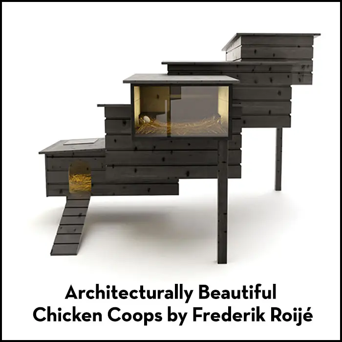 frederik roije chicken coops hero IIHIH