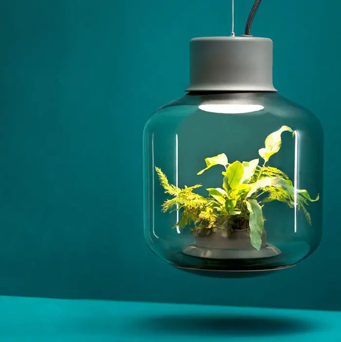 Nui Studio Mygdal Plantlights